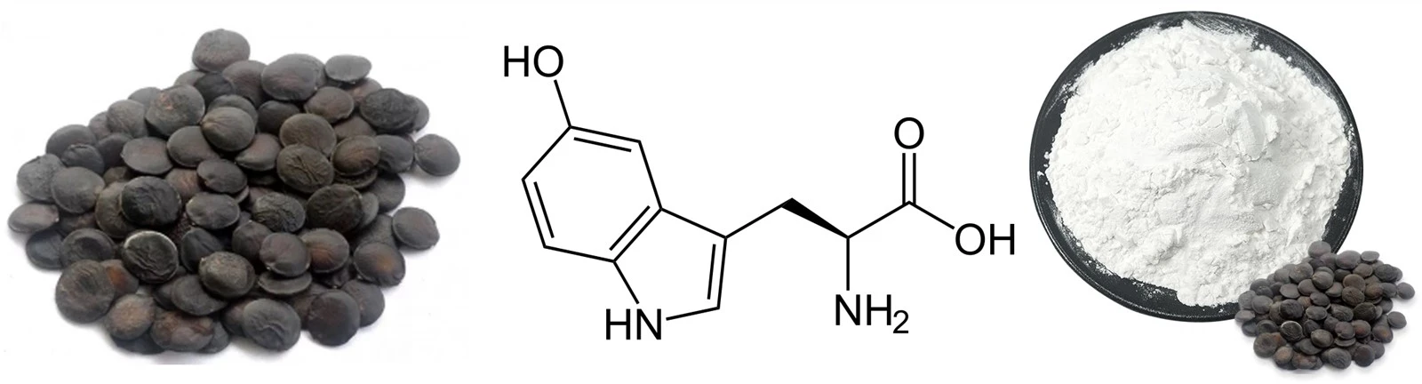 5-HTP-Griffonia-Seed-Extrac 5-HTP-Griffonia-Seed-Extrac