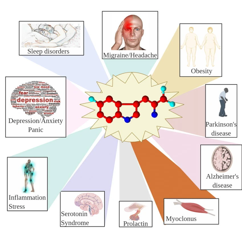 5-HTP application 5-HTP application