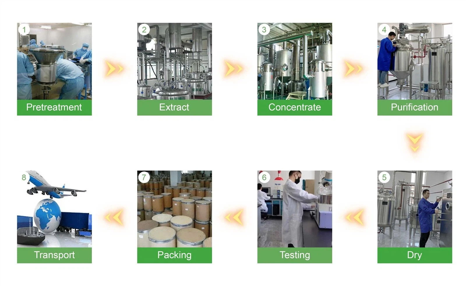 KINTAIS PROCESSING