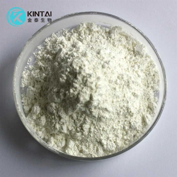 Hydroxytyrosol Powder