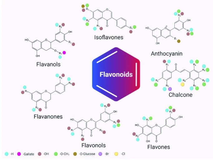 Flavonoids and Taxifolin (Dihydroquercetin) Flavonoids and Taxifolin (Dihydroquercetin)