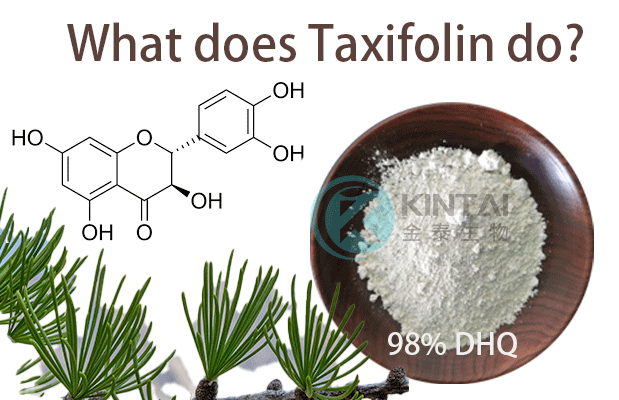 Dihydroquercetin (Taxifolin): A Flavonoid Of Note Dihydroquercetin (Taxifolin): A Flavonoid Of Note