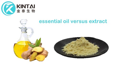 Huile essentielle contre extrait