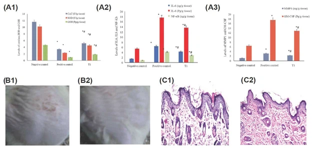 resveratrol anti aging resveratrol anti aging
