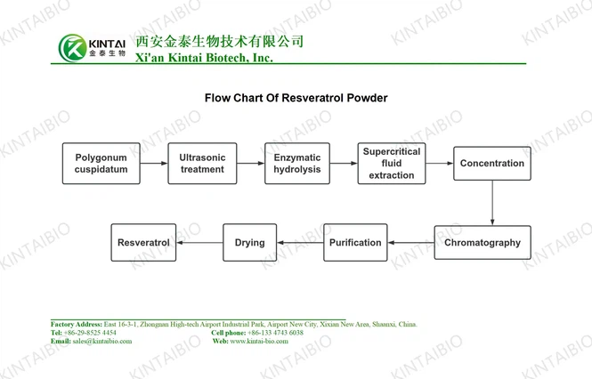 Flow Chart Of Resveratrol Powder01 Flow Chart Of Resveratrol Powder01